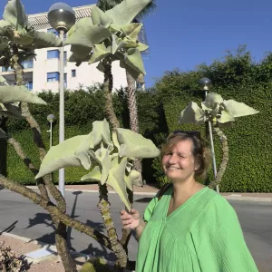 Olga Olga Profile Picture