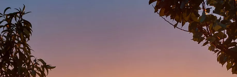 Veronika Fajtová Cover Image