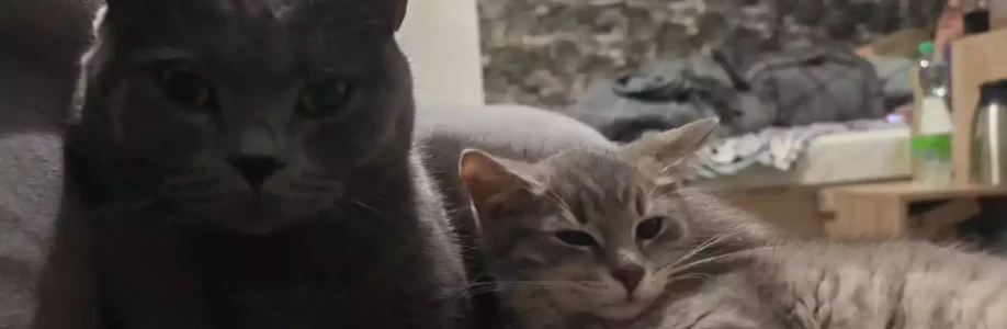 Veronika Skálová Cover Image